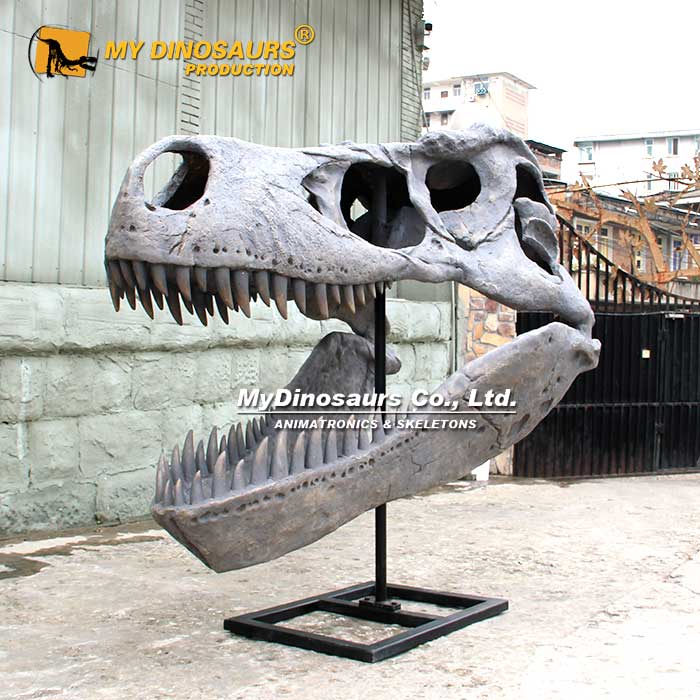 AD-252 大型恐龙化石骨架考古挖掘霸王龙骨骼头骨