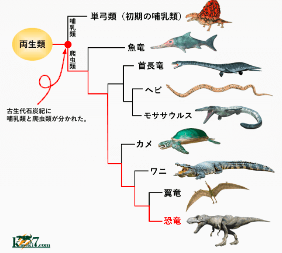 (恐龙进化的起源)