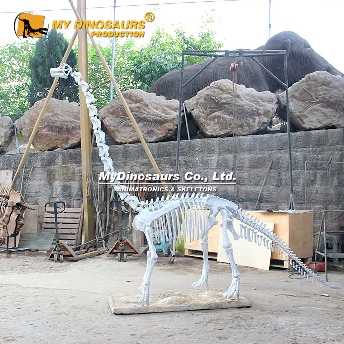 Customized-dinosaur-skeleton-2