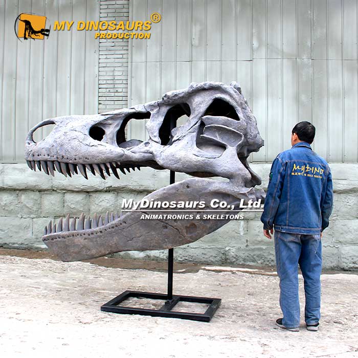 2.2-M-t-rex-skull