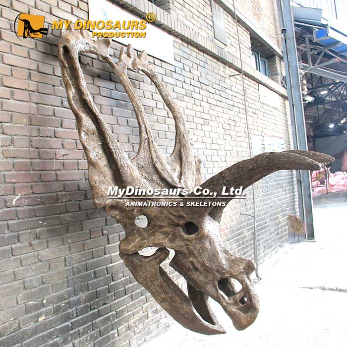 Coahuilaceratops-Skull-2