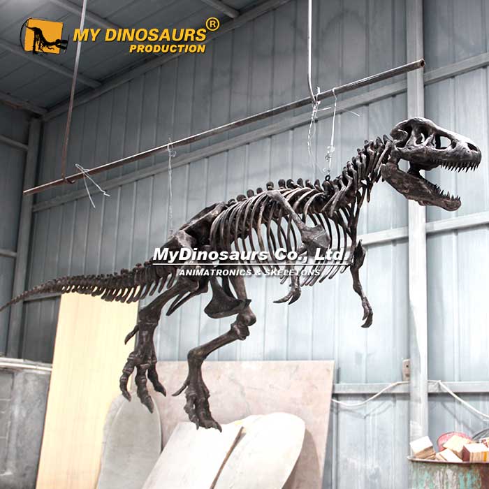 hanging-t-rex-skeleton-2.5M-2