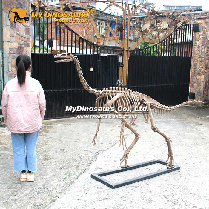 Ornithomimid-skeleton-2