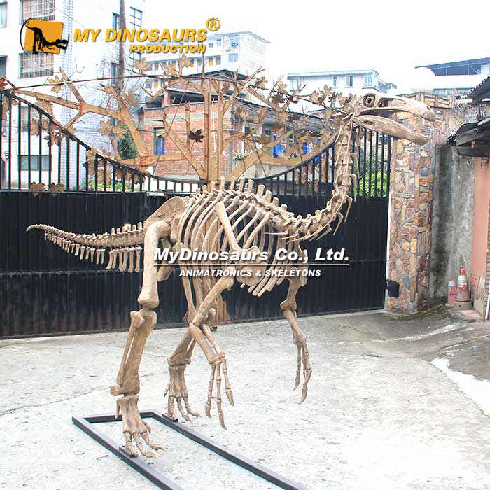 Paraxenisaurus-skeleton-1