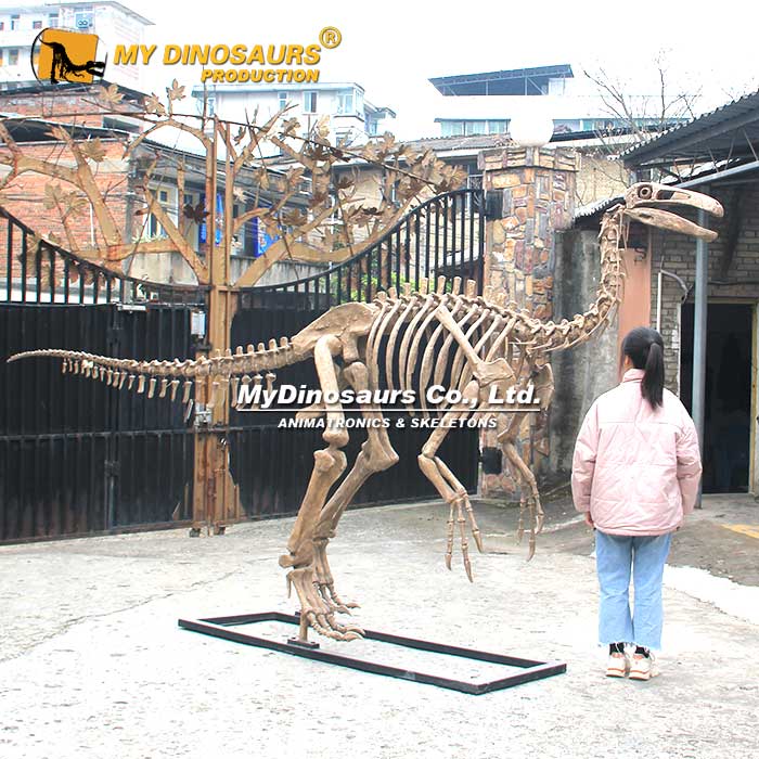 Paraxenisaurus-skeleton