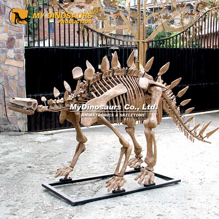 3M-Stegosaurus-Skeleton-1