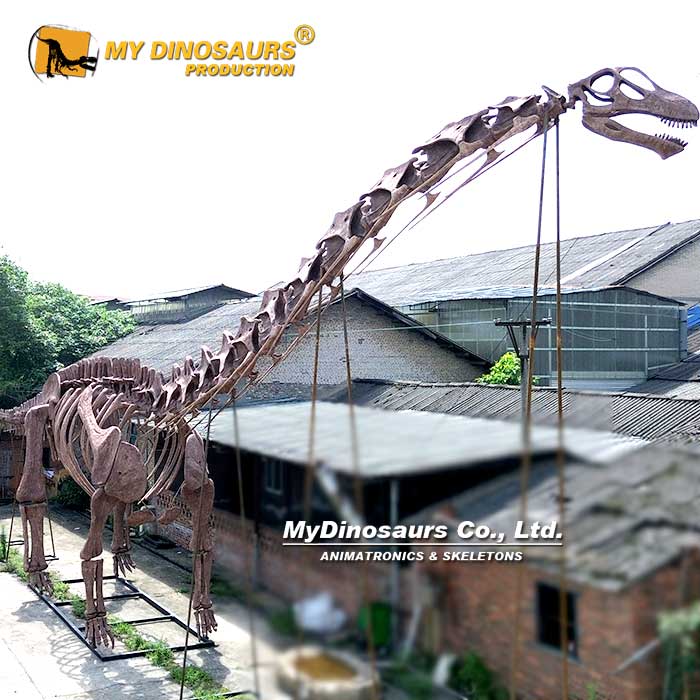 36M-Argentinosaurus-skeleton-1